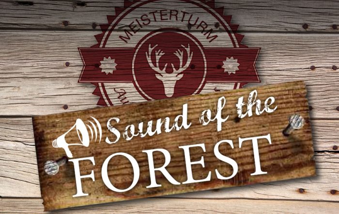 sound of the forest
