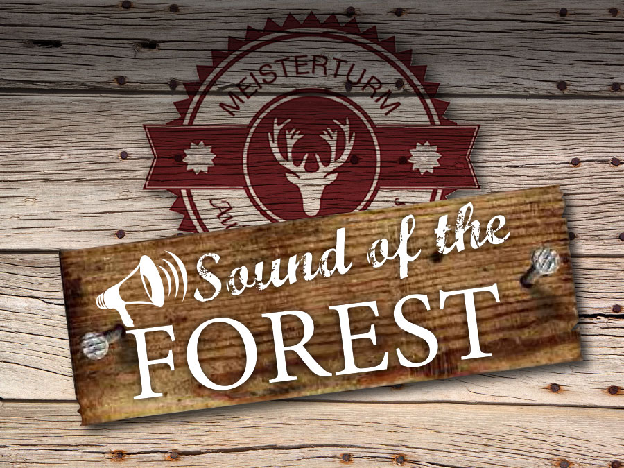 sound of the forest